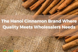 the-hanoi-cinnamon-brand-where-quality-meets-wholesalers-needs