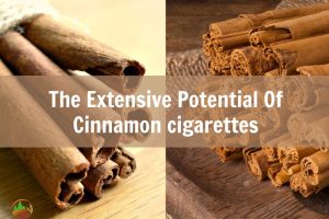 the-extensive-potential-of-cinnamon-cigarettes